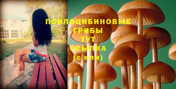 Альфа ПВП Медвежьегорск