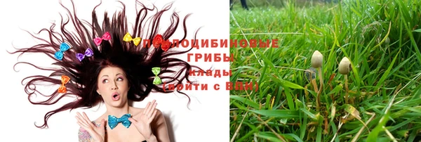 бутират Алексеевка