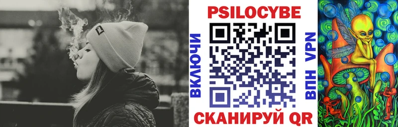 Галлюциногенные грибы Psilocybine cubensis  Александровск 